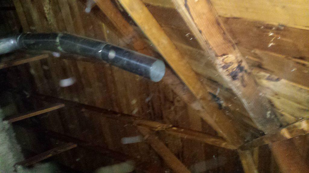 bathroom venting into attic