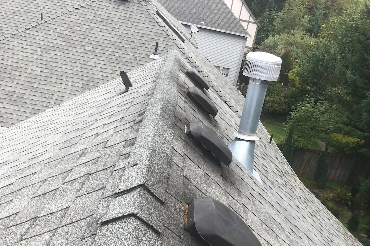 Attic vents on a roof