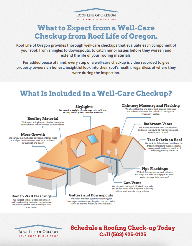 what is included in a well-care checkup from Roof Life of Oregon