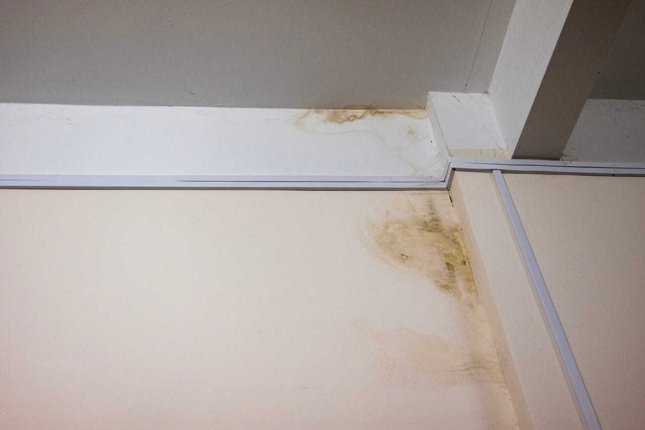 Water stains on walls and ceiling